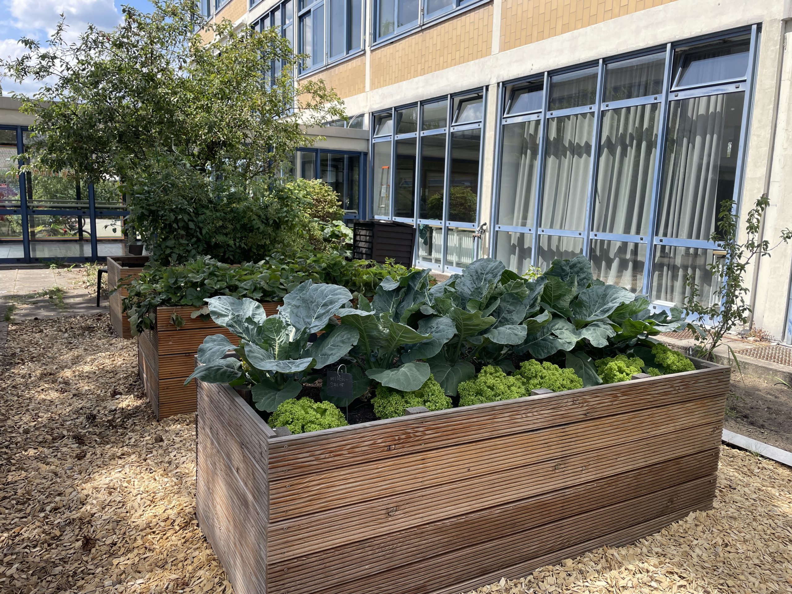 Garten-AG1