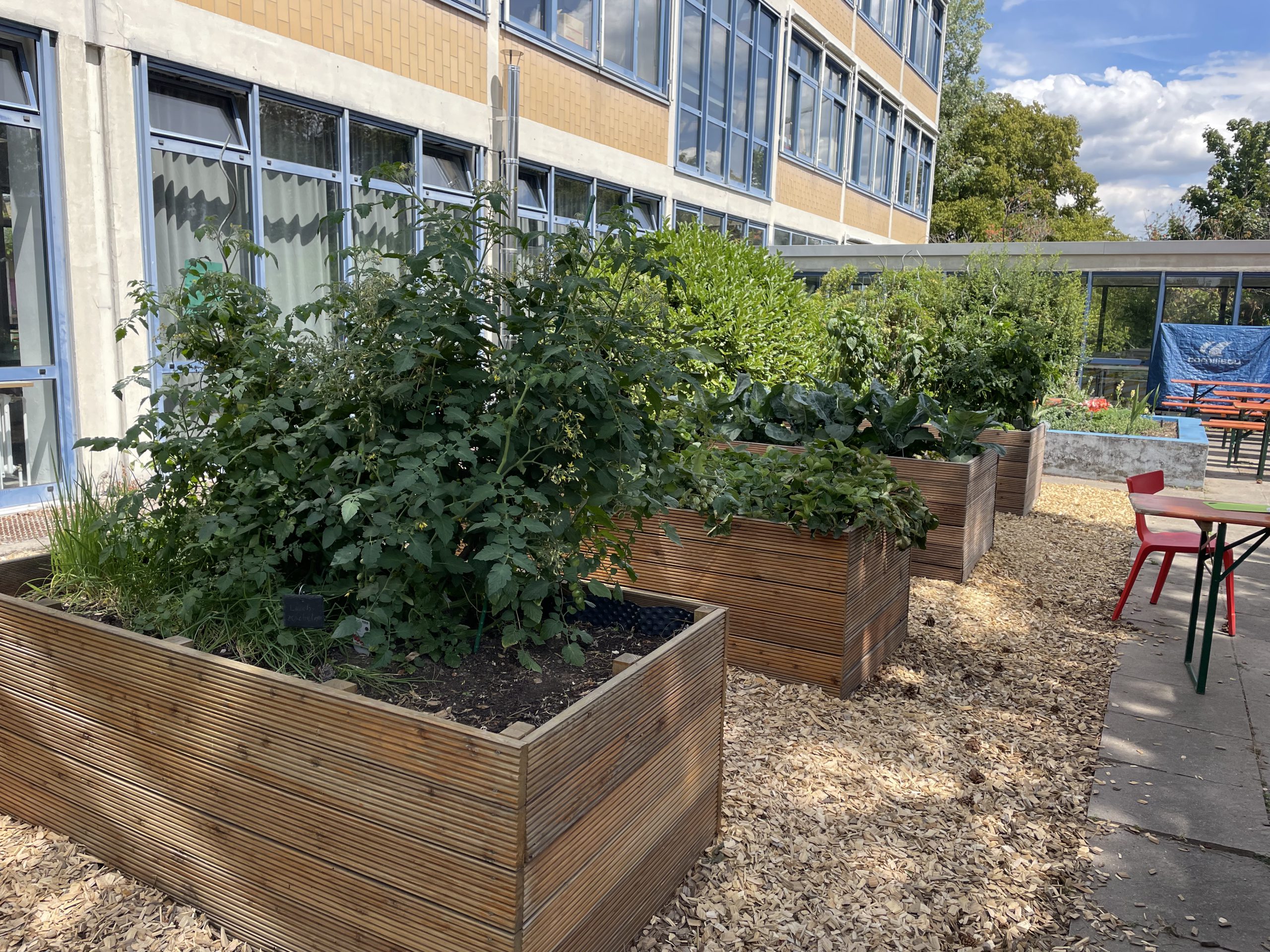 Garten-AG2
