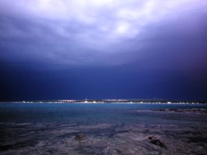 IMG_4339
