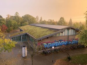 IMG_9789